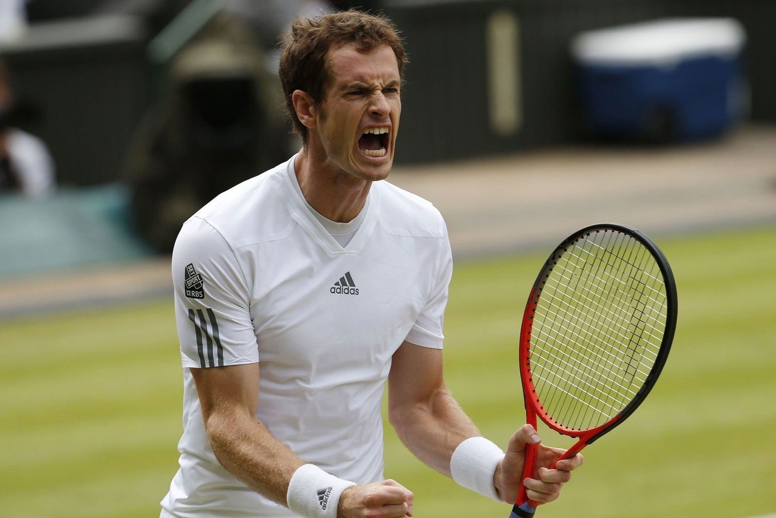 Andy Murray — Wimbledon 2013.